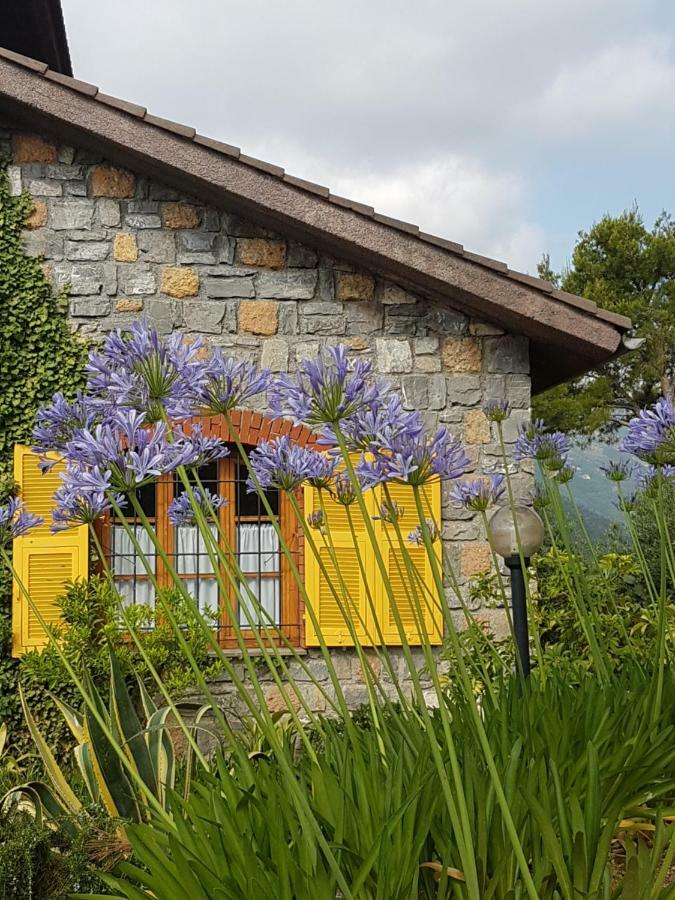Villa Fior Di Lavanda Cisano sul Neva Zewnętrze zdjęcie
