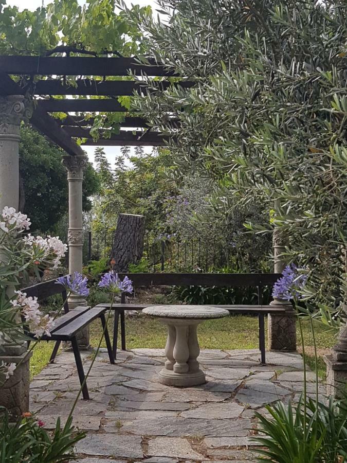 Villa Fior Di Lavanda Cisano sul Neva Zewnętrze zdjęcie