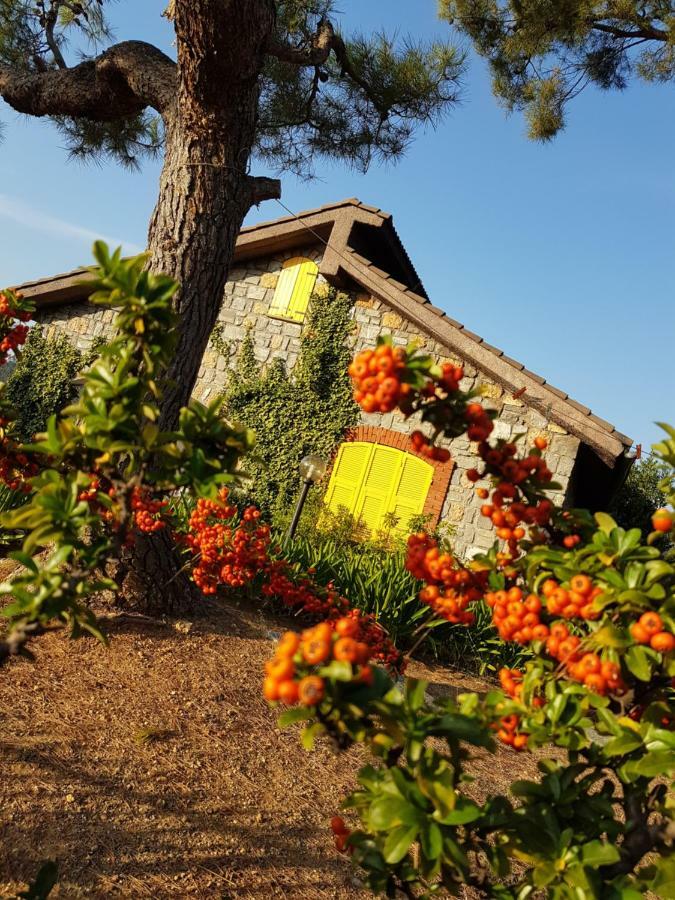 Villa Fior Di Lavanda Cisano sul Neva Zewnętrze zdjęcie